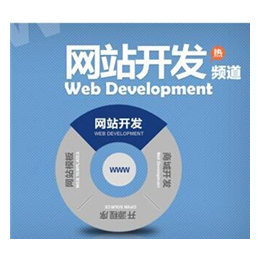 专业的网站建设与网络工程服务 - 顶峰网络科技