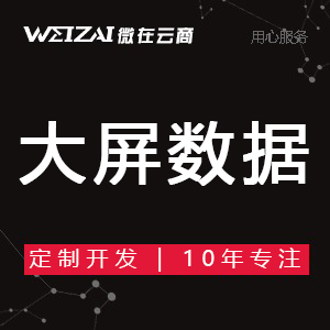 微在云商 专业网站建设服务，助力企业数字化转型